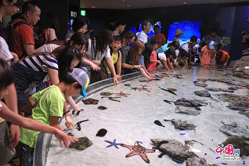 海星触摸池海洋生物科普海洋展