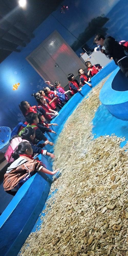 海星触摸池海洋生物科普海洋展