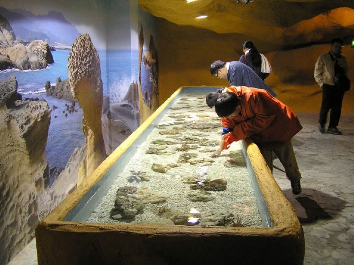 海星触摸池海洋生物科普海洋展