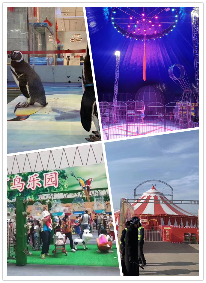 马戏团表演出租 地产开盘庆典活动
