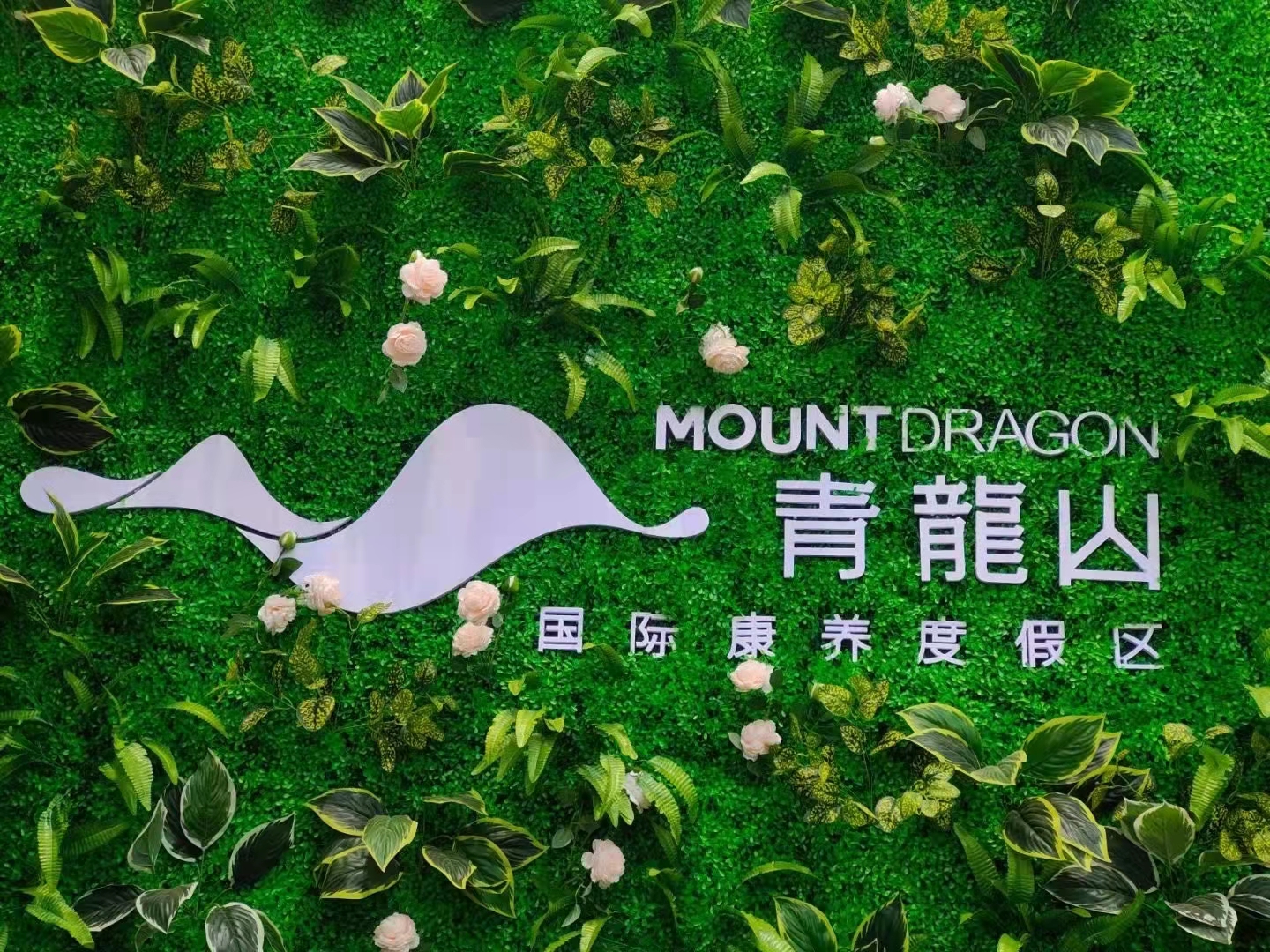 绿植墙体 花艺造型 墙体美<font style="color: #FF8F00 !important;">化</font>包装