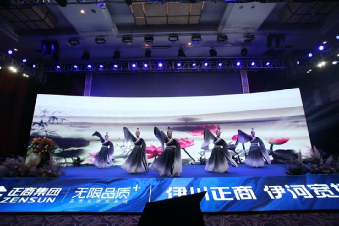 一个专业舞蹈演出机构,服装租赁