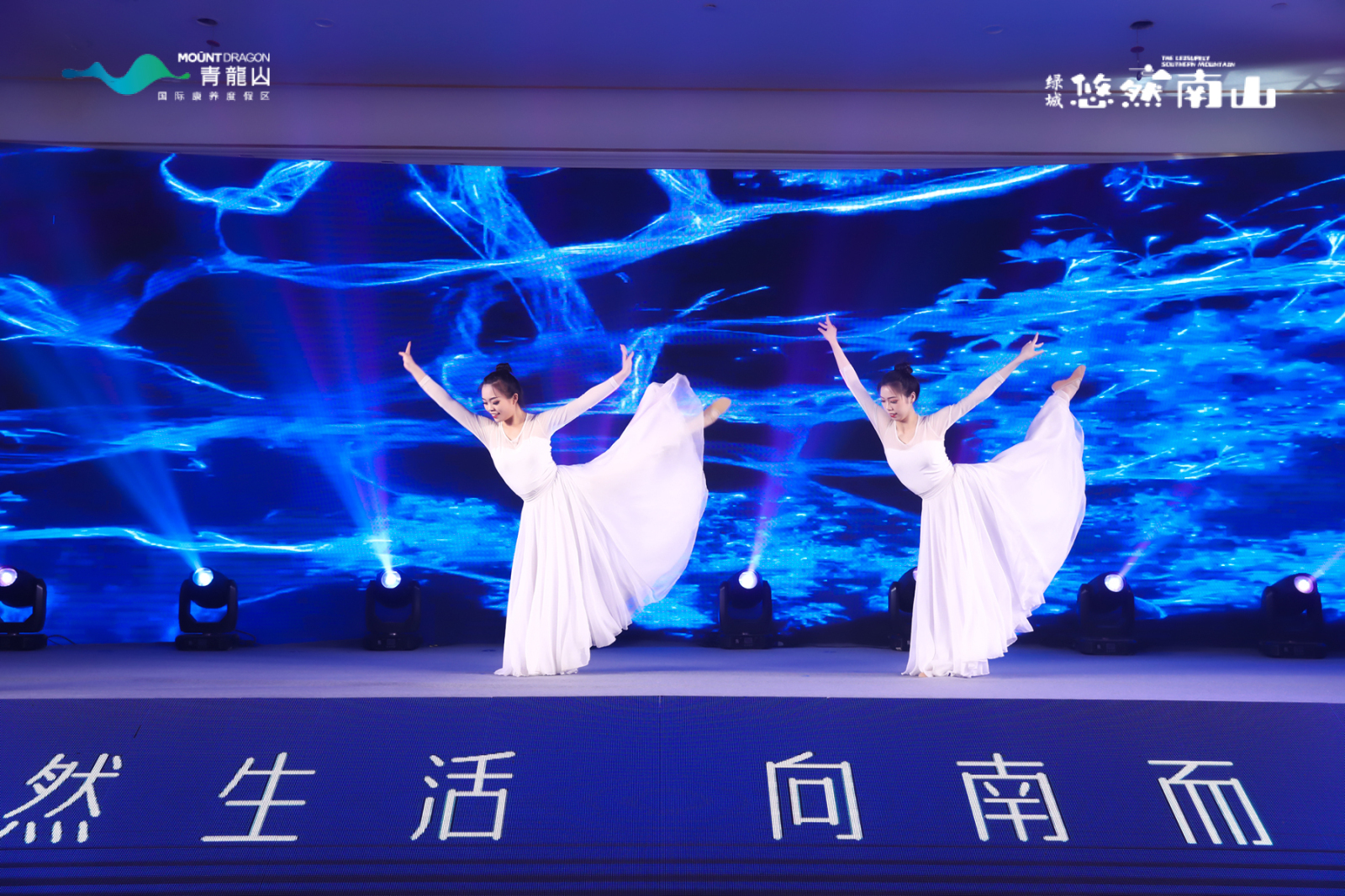 一个专业舞蹈演出机构,服装租赁