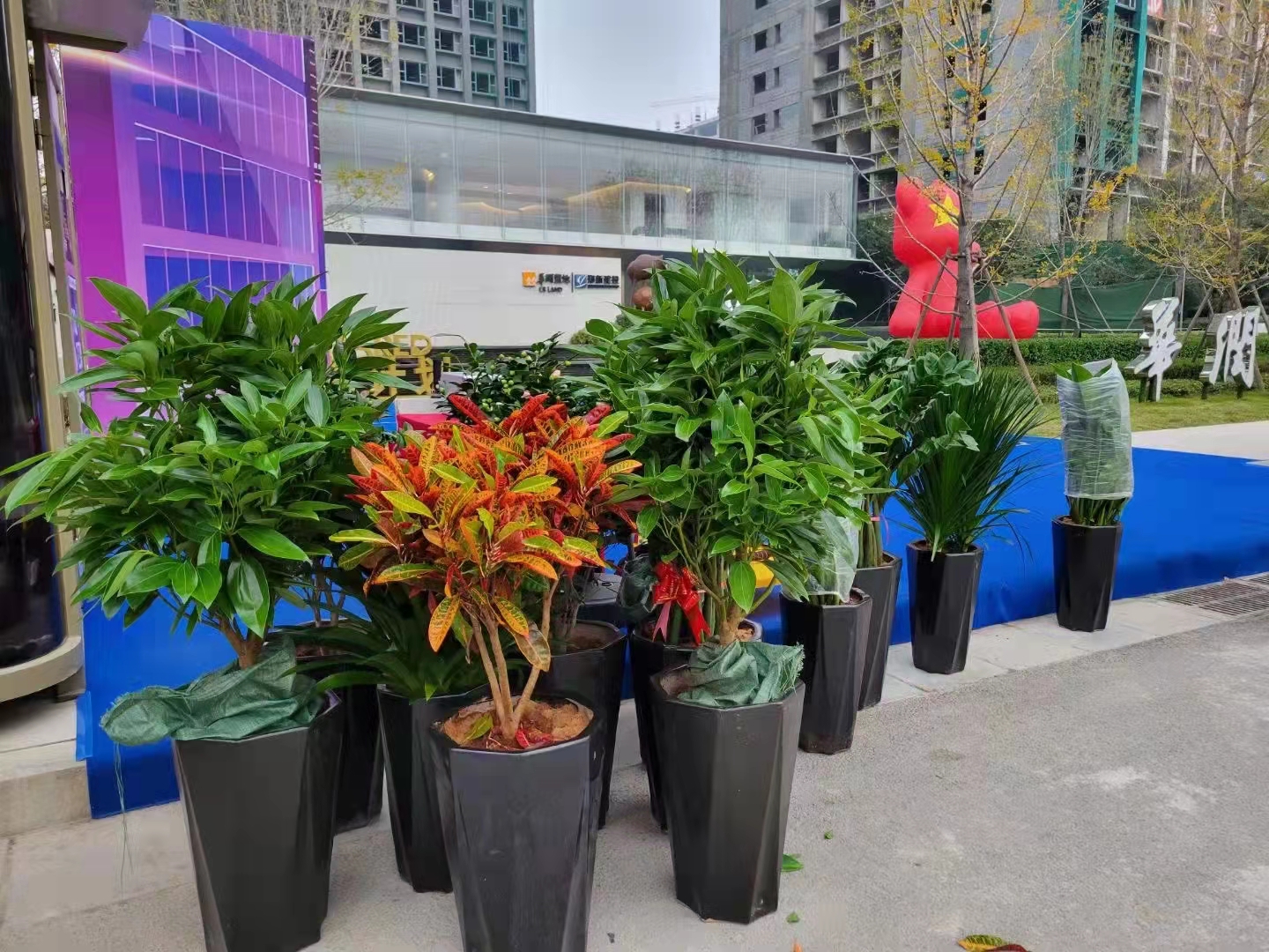 会场鲜花、婚礼鲜花、插花活动、鲜花束、鲜花花车