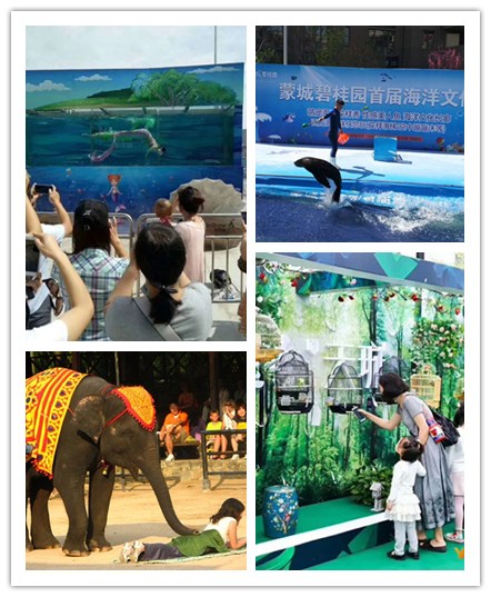 海狮表演出租常年提供