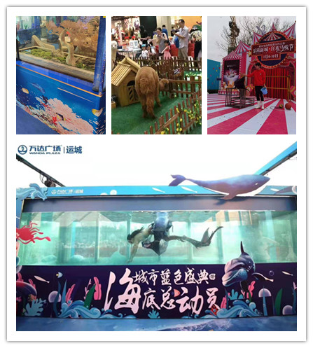 动物展览 萌宠表演出租活动资源长期供应