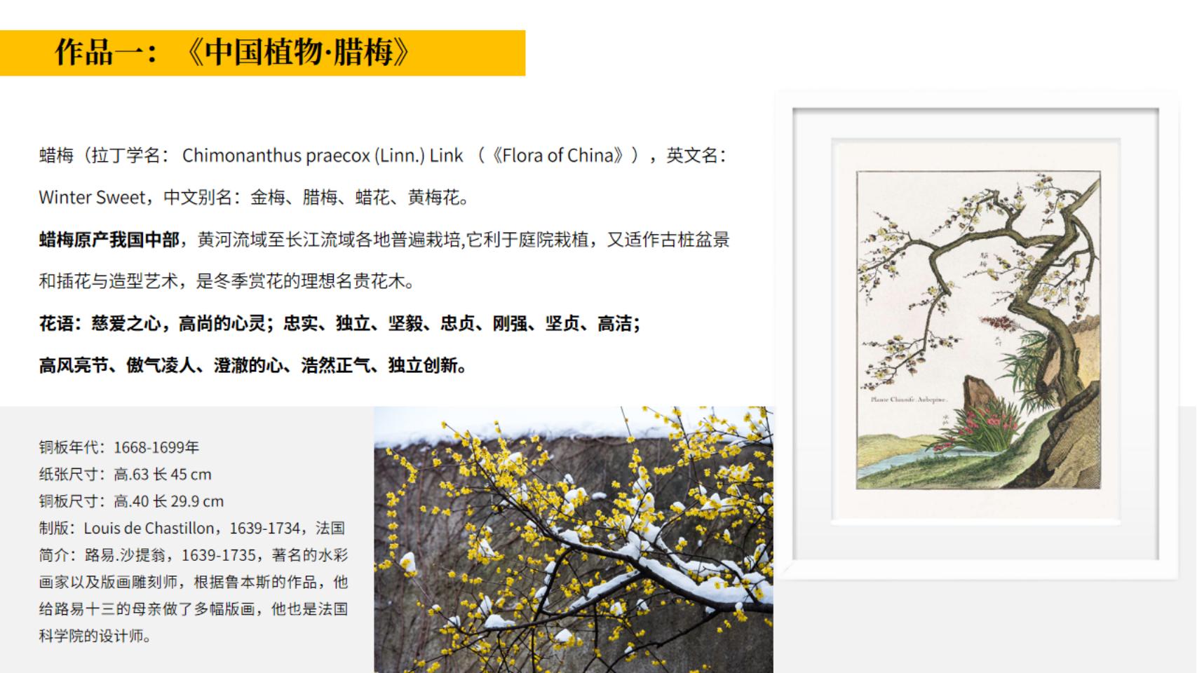 皇家植物宫廷花卉名画展—卢浮宫馆藏铜版画作品