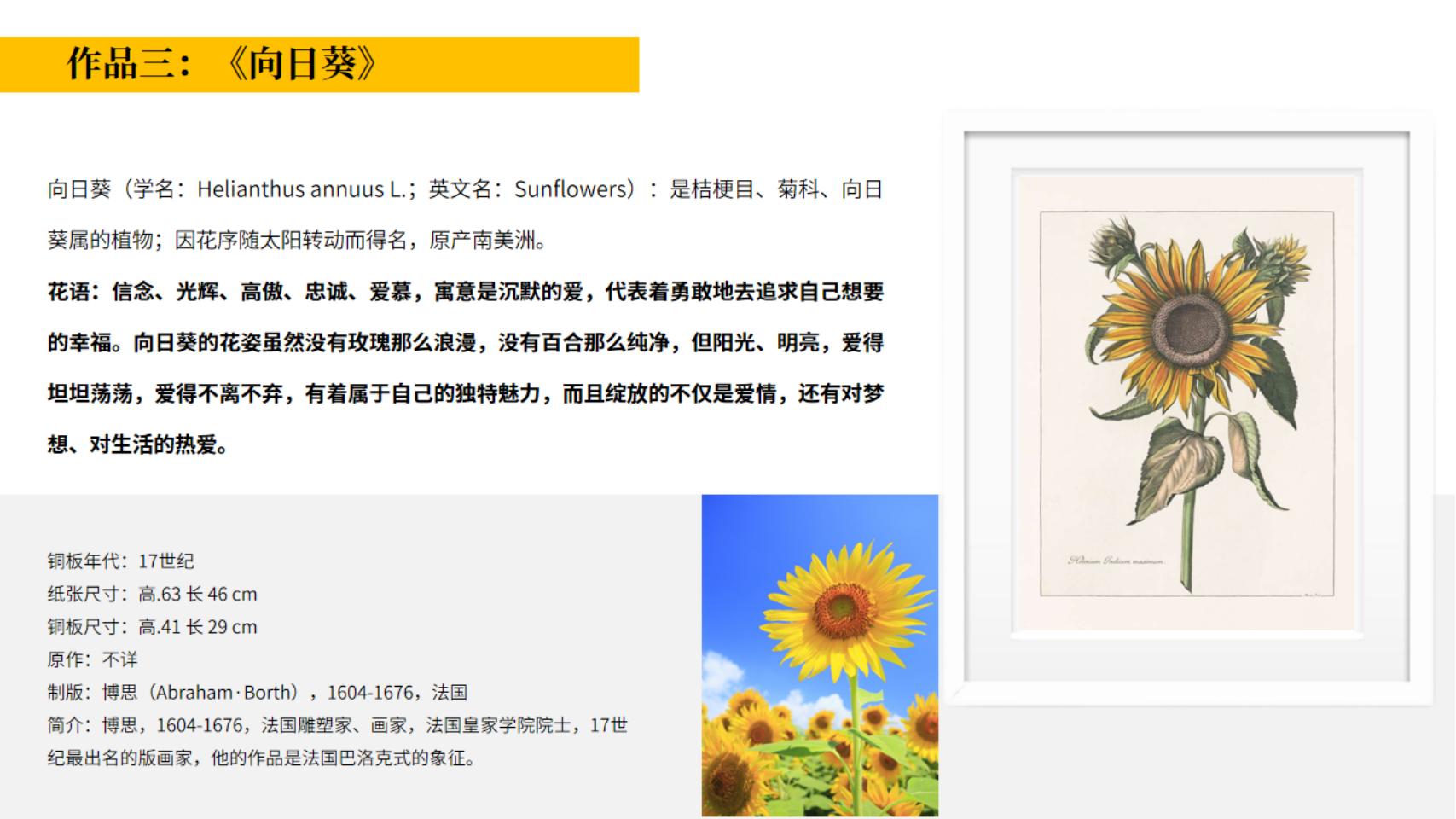 皇家植物宫廷花卉名画展—卢浮宫馆藏铜版画作品