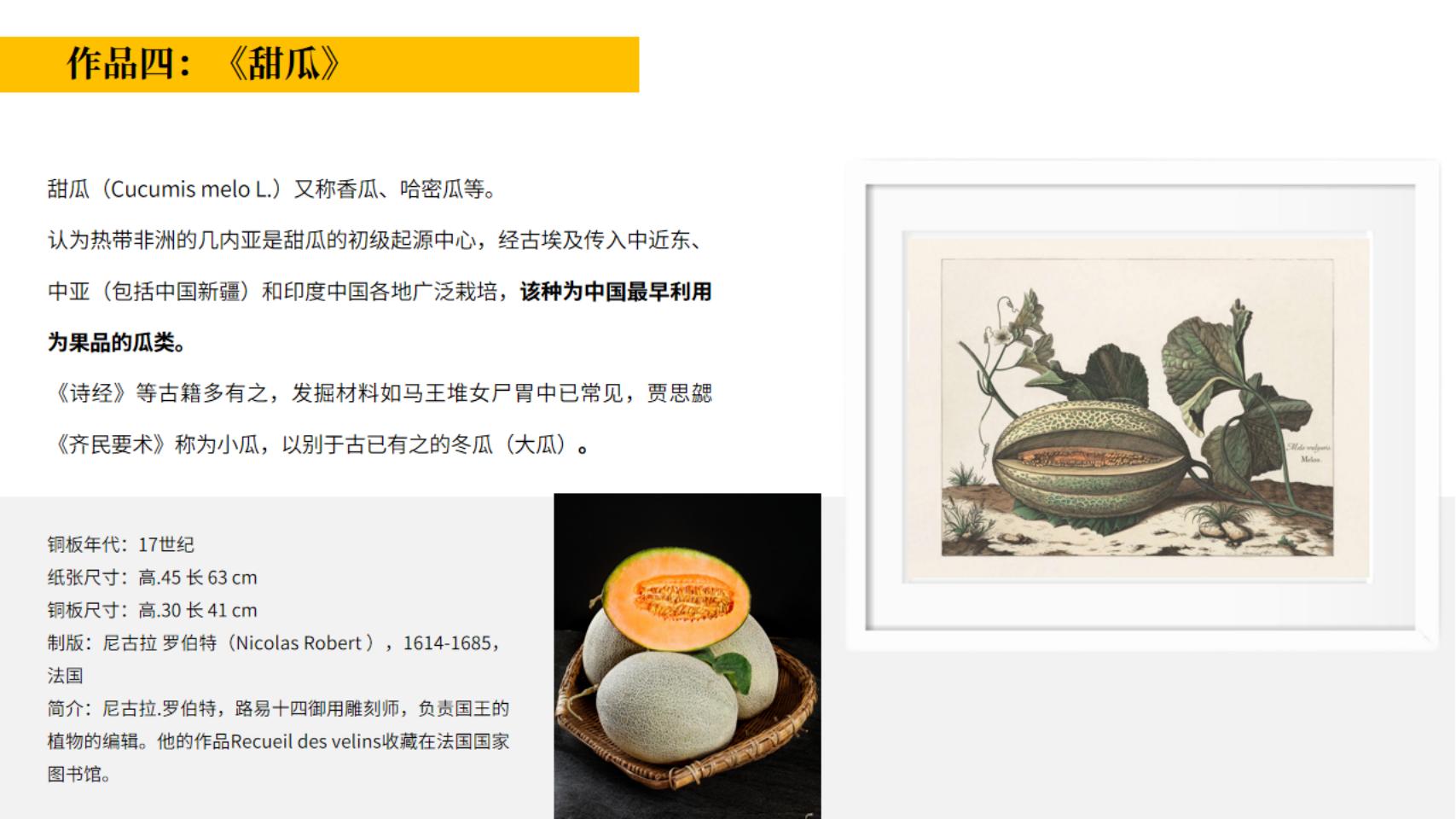 皇家植物宫廷花卉名画展—卢浮宫馆藏铜版画作品