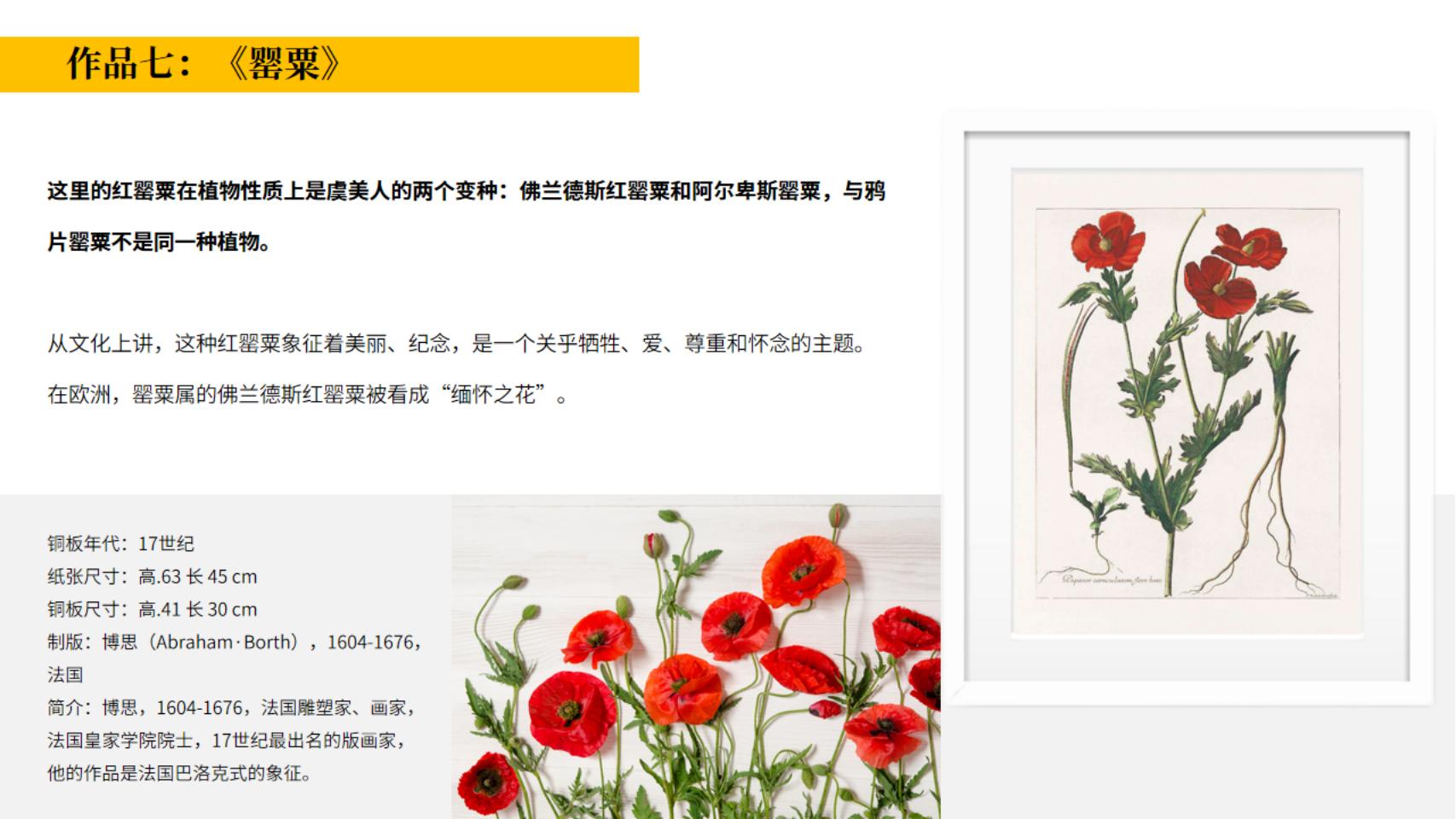 皇家植物宫廷花卉名画展—卢浮宫馆藏铜版画作品