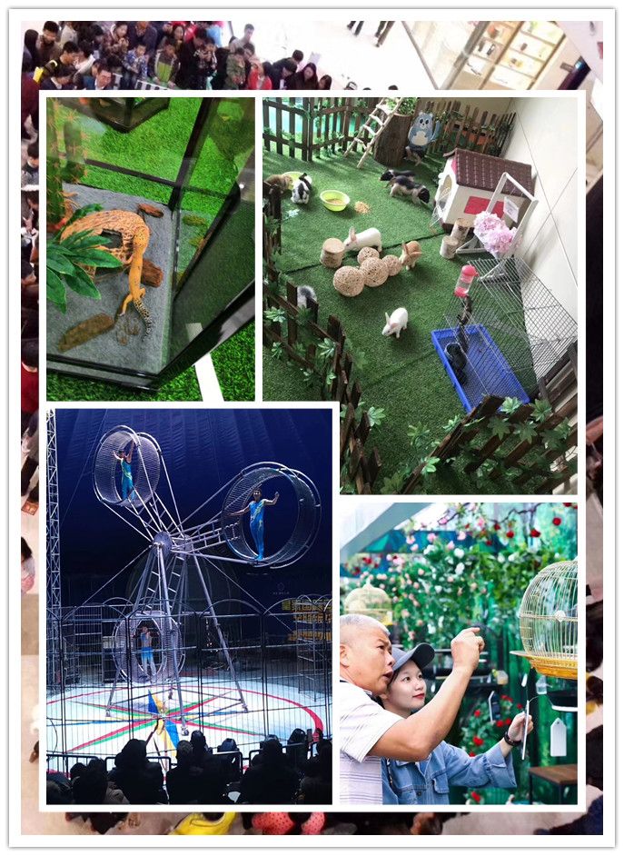 百鸟展展览 动物展览暖场互动