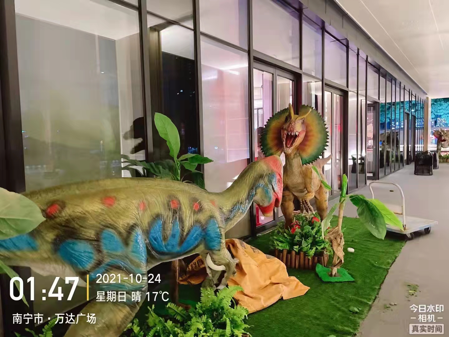 恐龙模型展