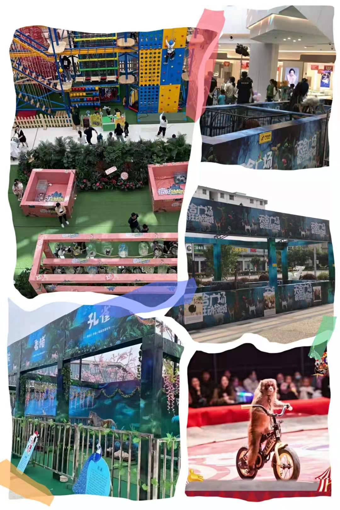 鱼缸展展览 海洋生物展览地产暖场必备