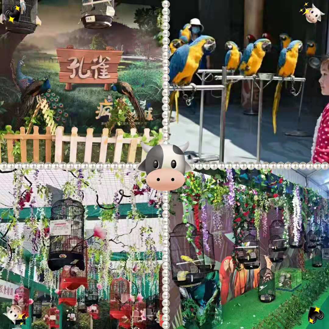 鱼缸展展览 海洋生物展览地产暖场必备