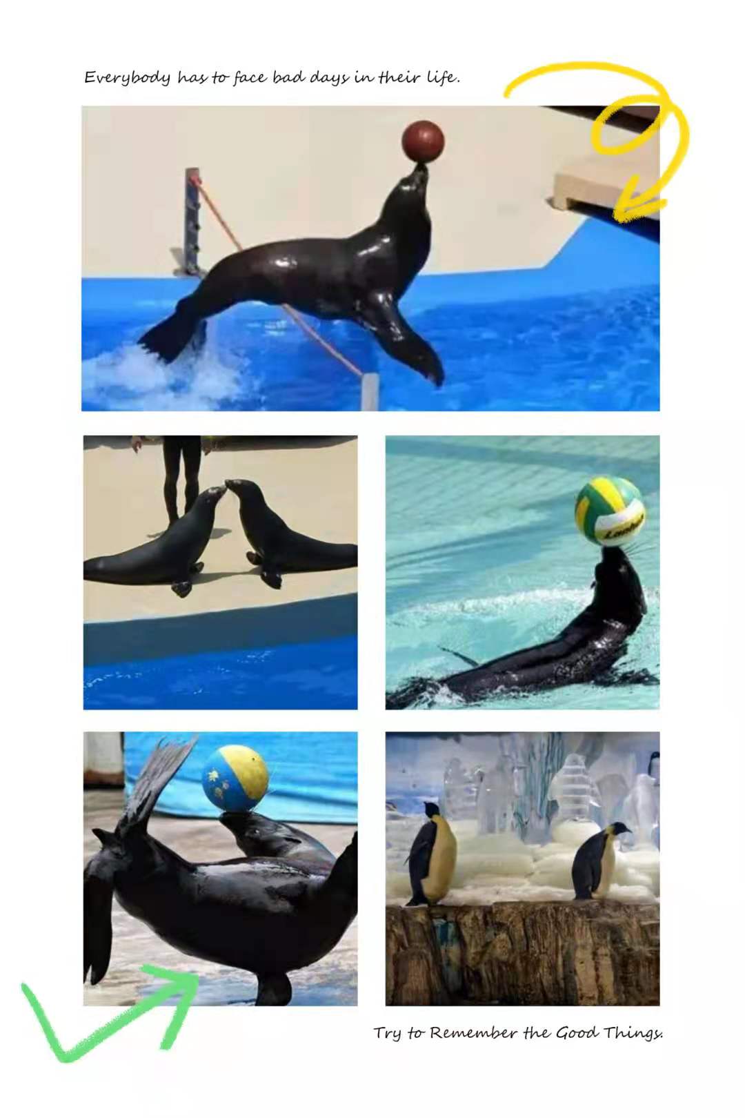 鱼缸展展览 海洋生物展览地产暖场必备