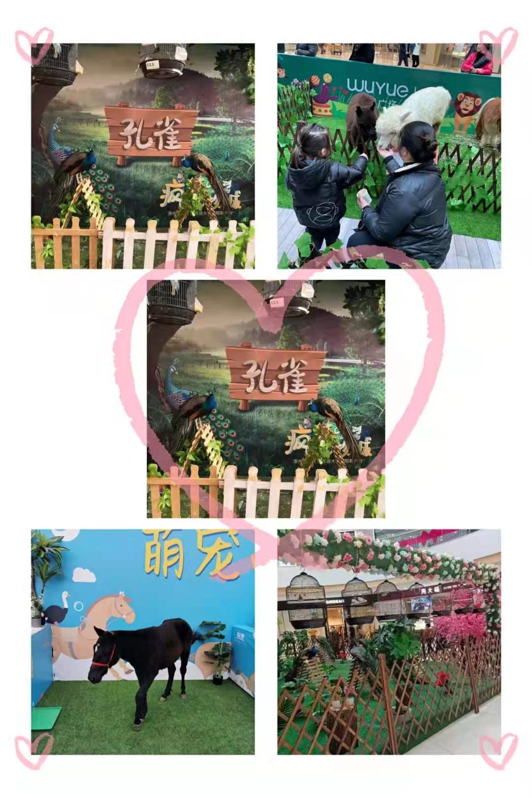 鱼缸展展览 海洋生物展览地产暖场必备