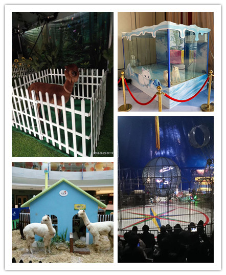 美人鱼表演 海洋生物展览出租