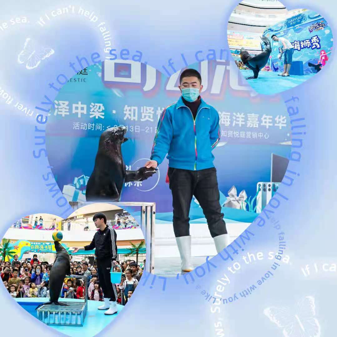 美人鱼表演出租 海洋生物展览
