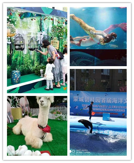 美人鱼表演出租 海洋生物展览