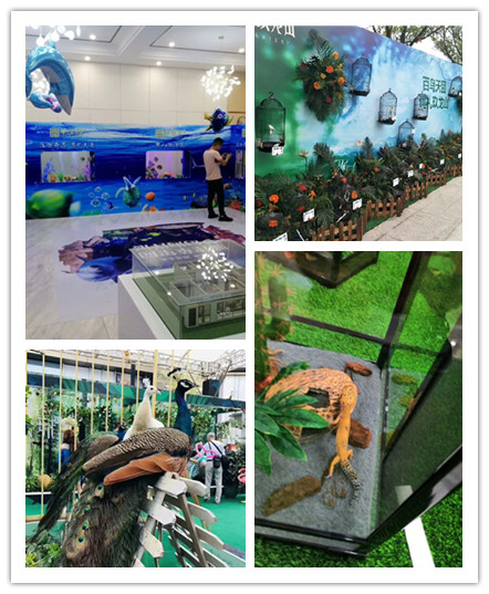 美人鱼表演出租 海洋生物展览