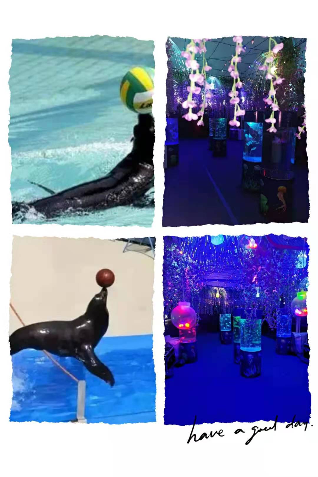 海洋生物展览 鱼缸展展览出租