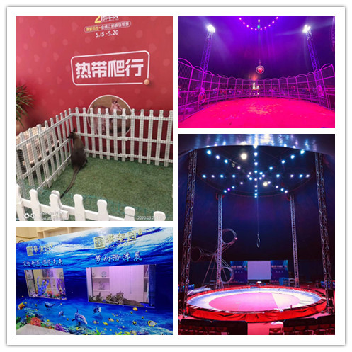 羊驼萌宠马戏团表演出租