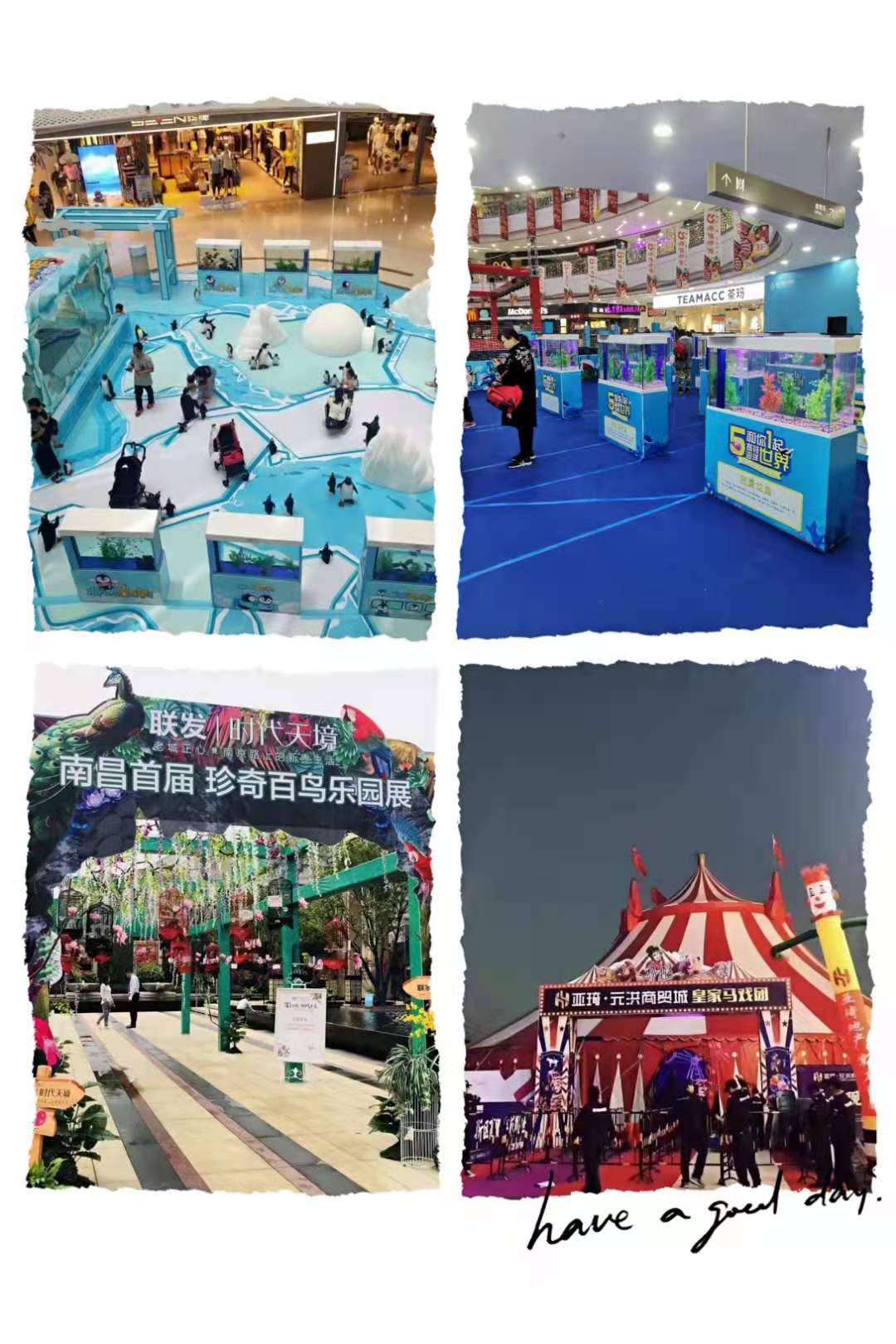 萌宠表演 动物展览出租暖场必备