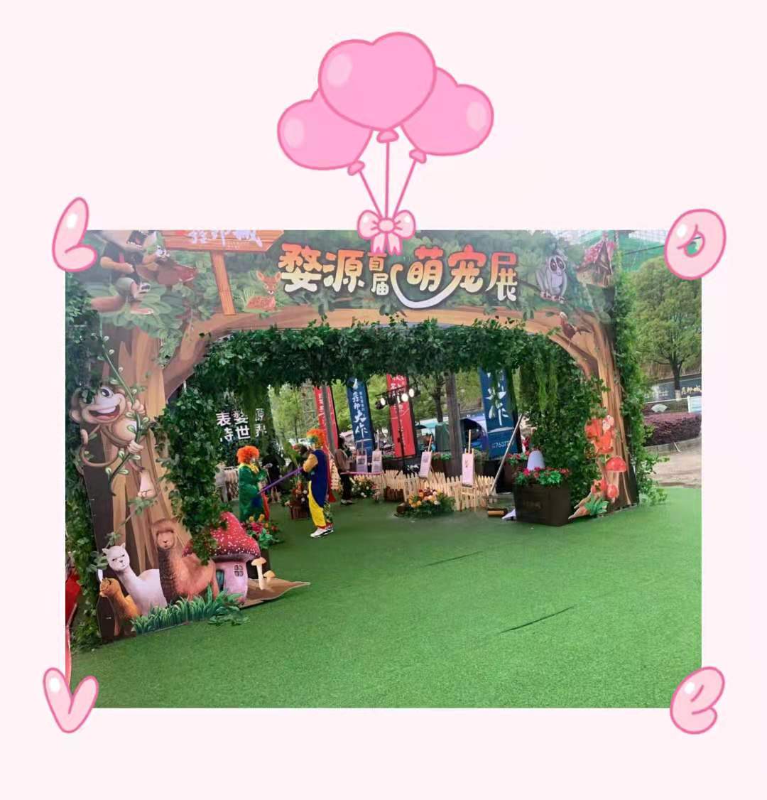 萌宠表演 动物展览出租暖场必备