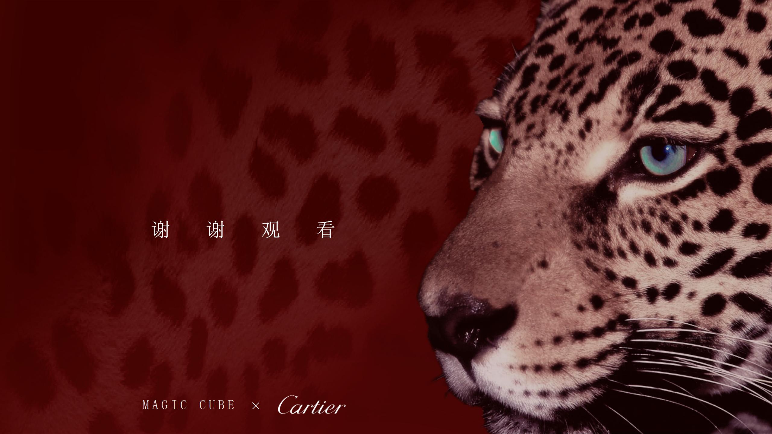 Cartier 情迷卡地亚