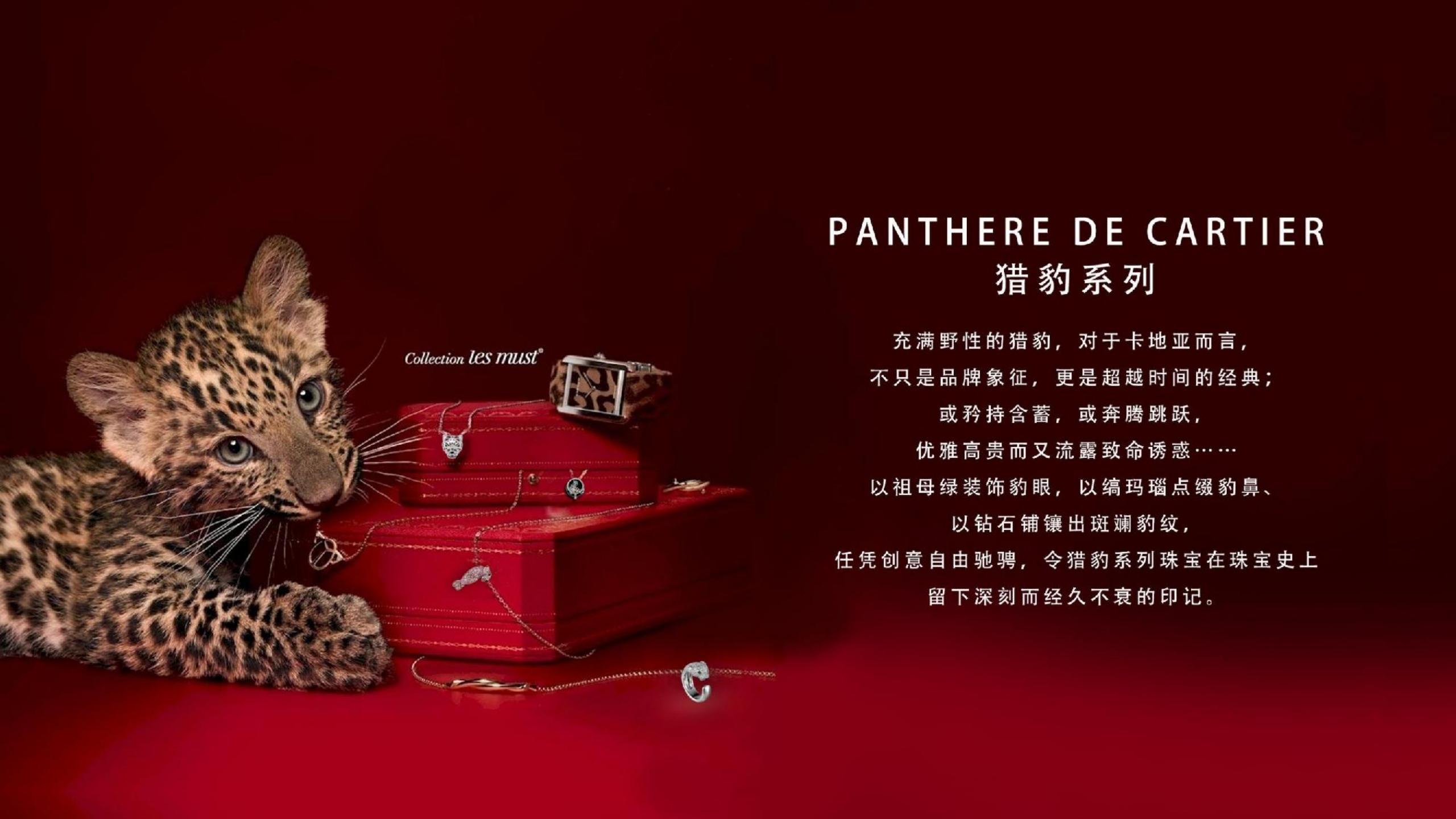 Cartier 情迷卡地亚