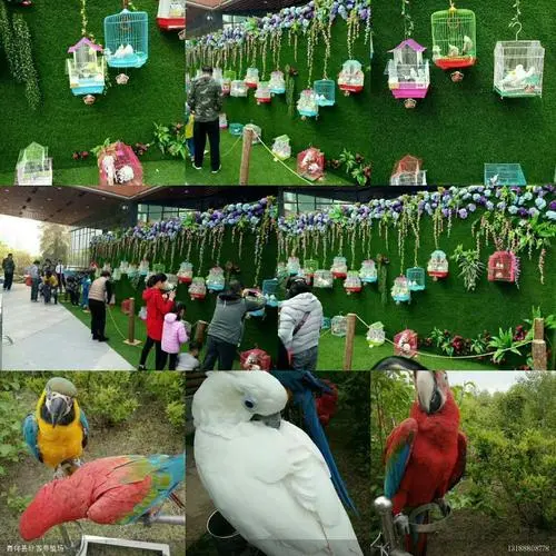 鱼缸展展览出租 海洋生物展览