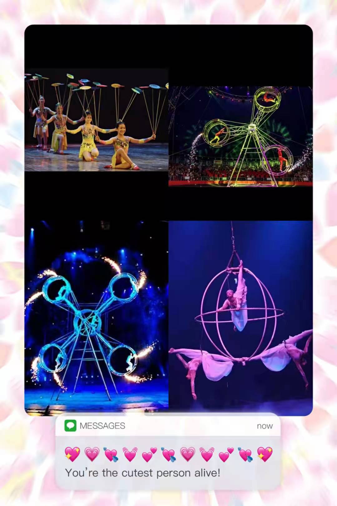生死轮表演 环球飞车表演出租