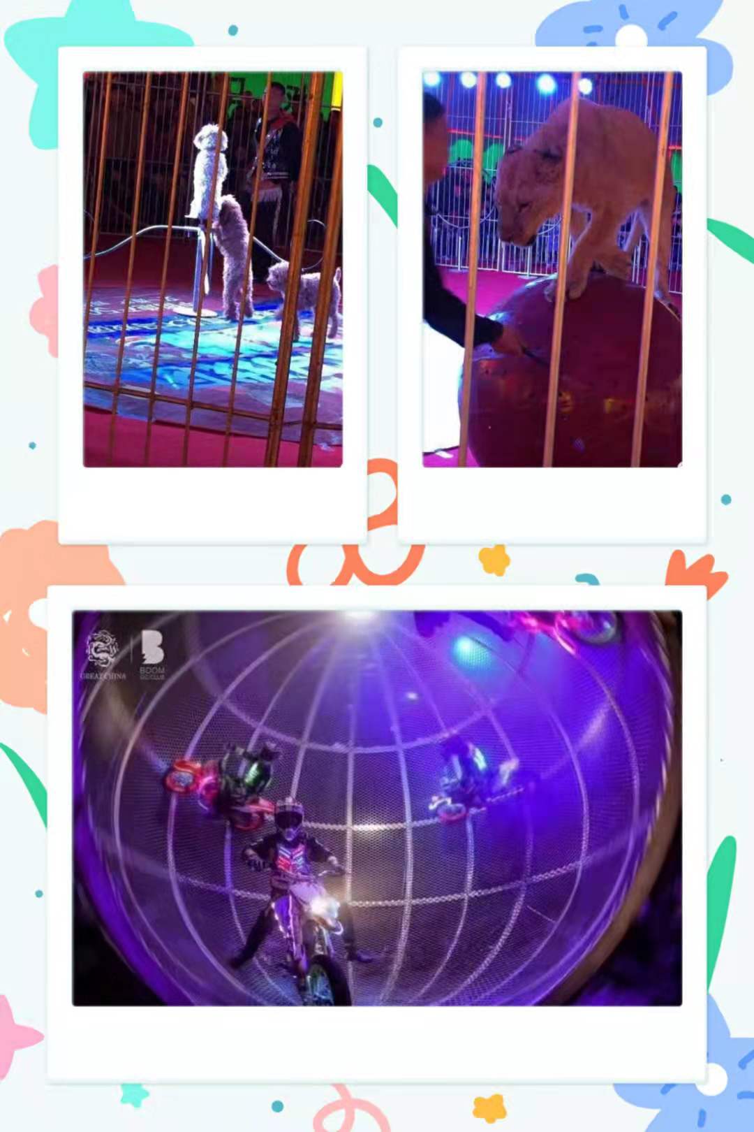 生死轮表演 环球飞车表演出租