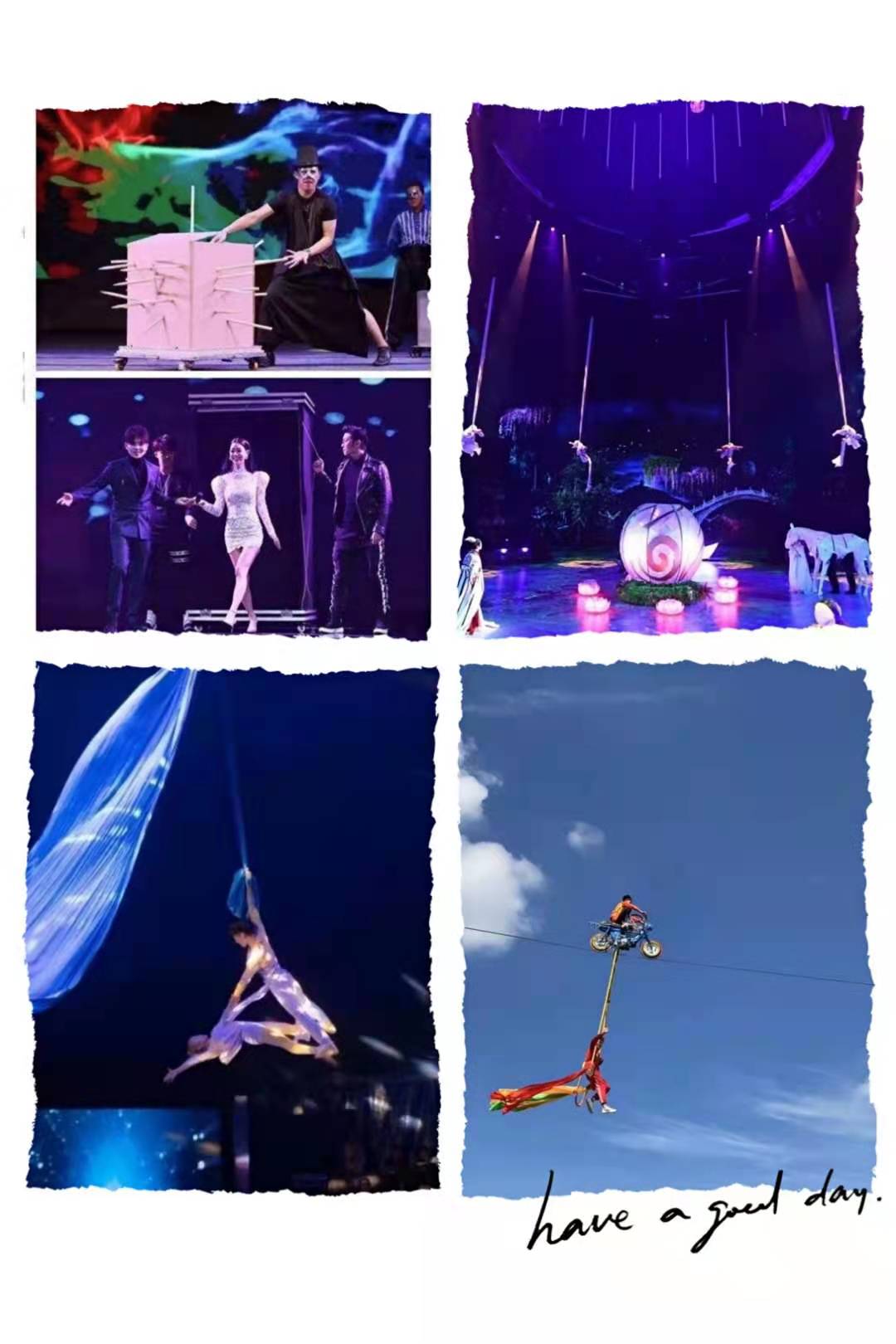 海狮表演展览租赁 