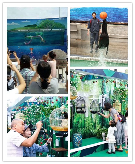 动物展览租赁 萌宠表演出租