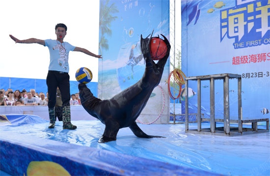 海狮表演 企鹅展览 海洋生物展览 美人鱼表演 鳄鱼表演 鱼缸