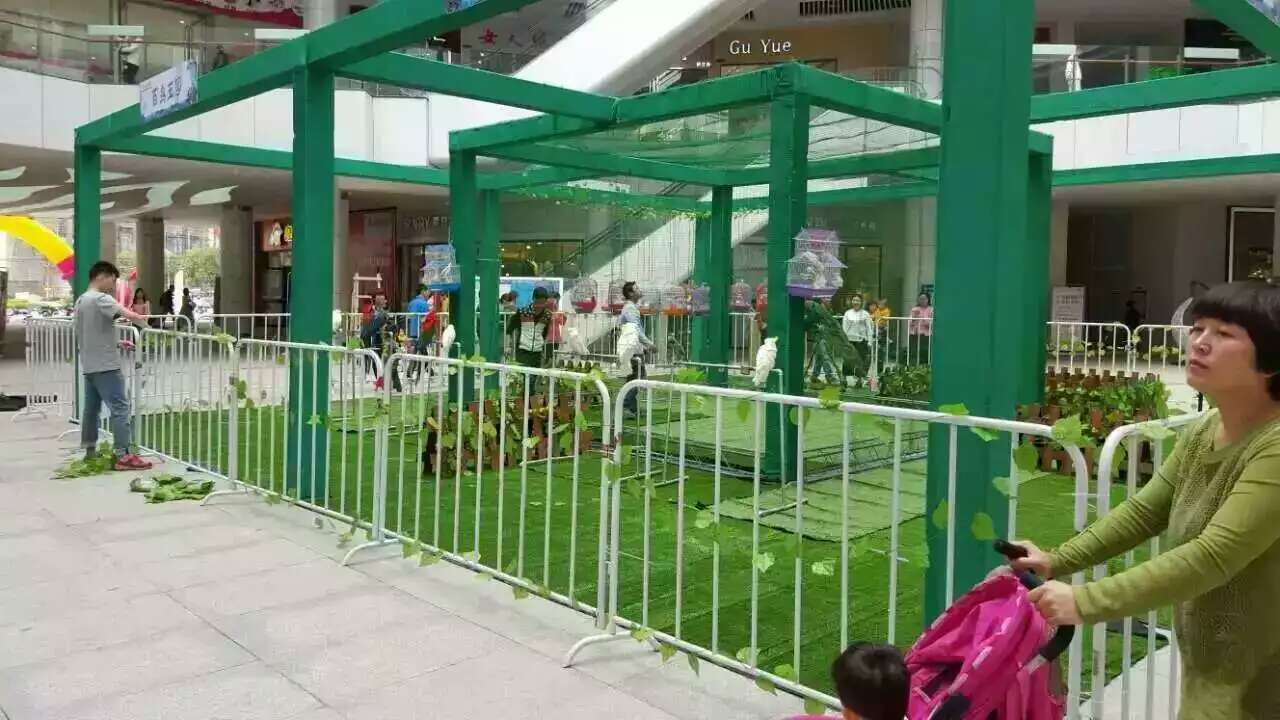 鹦鹉表演 百鸟展览 孔雀展 杂技表演 动物萌宠表演展览 动物