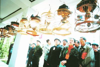 鹦鹉表演 百鸟展览 孔雀展 杂技表演 动物萌宠表演展览 动物