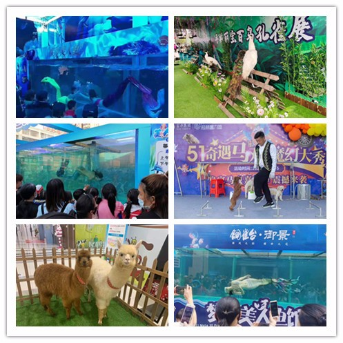 萌宠租赁  动物展览档期充足