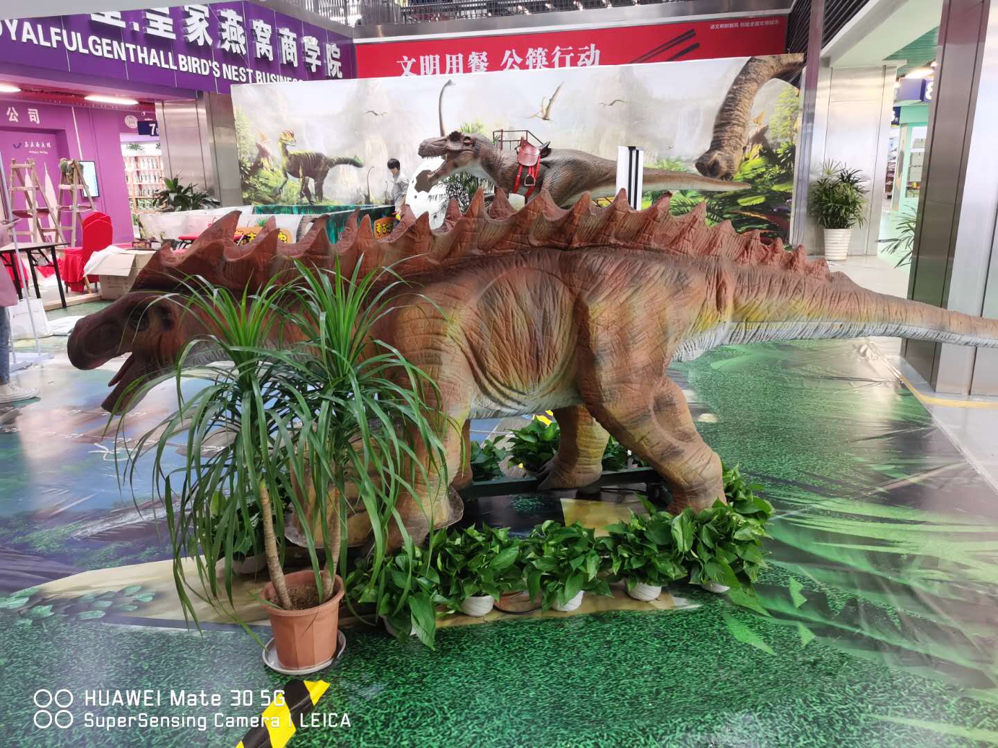 仿真恐龙展主题 侏罗纪公园 霸王龙 蜿龙