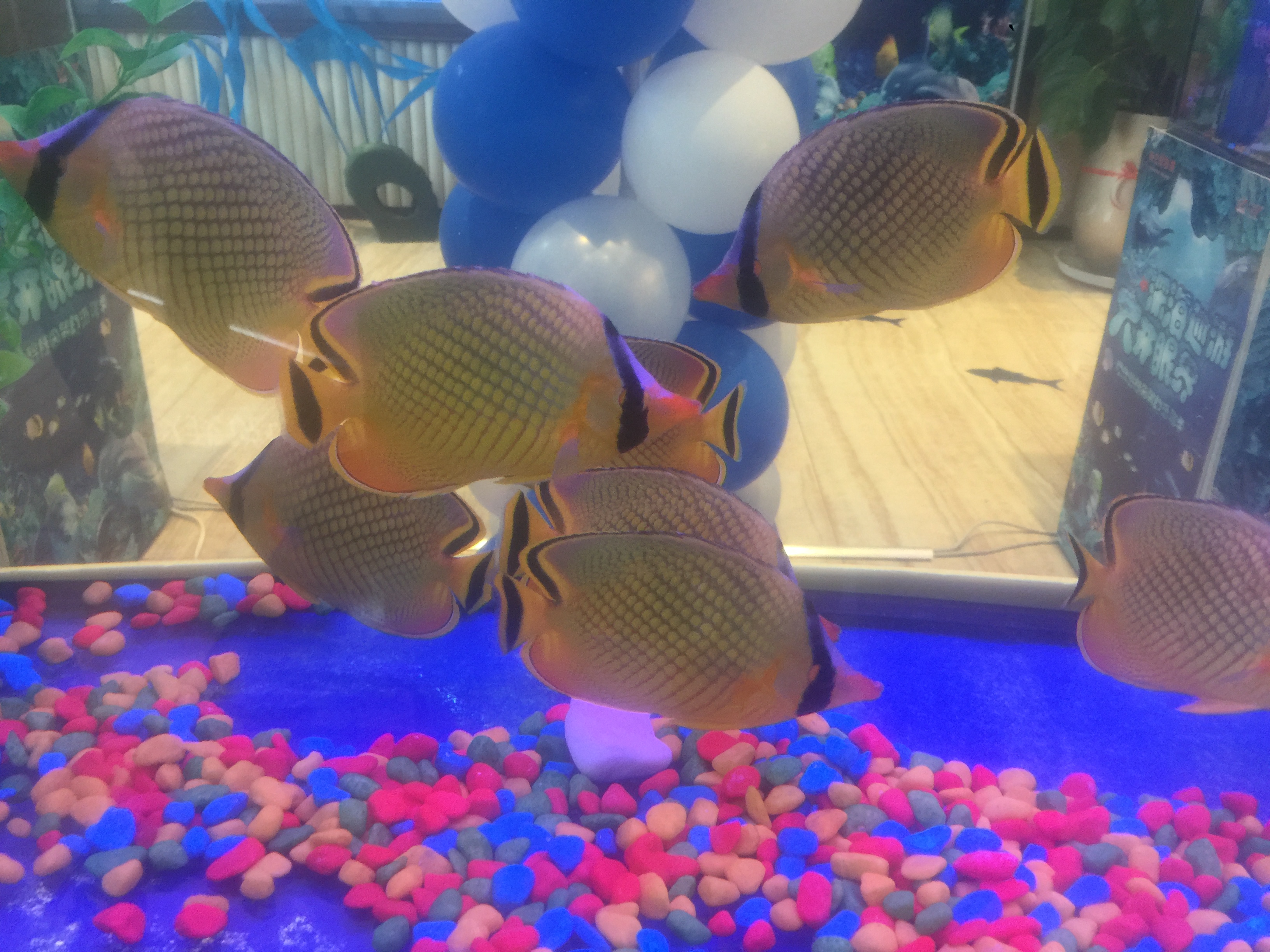 <font style="color: #FF8F00 !important;">海洋展</font> <font style="color: #FF8F00 !important;">海洋</font>生物展 海底世界展 鲨鱼水母展