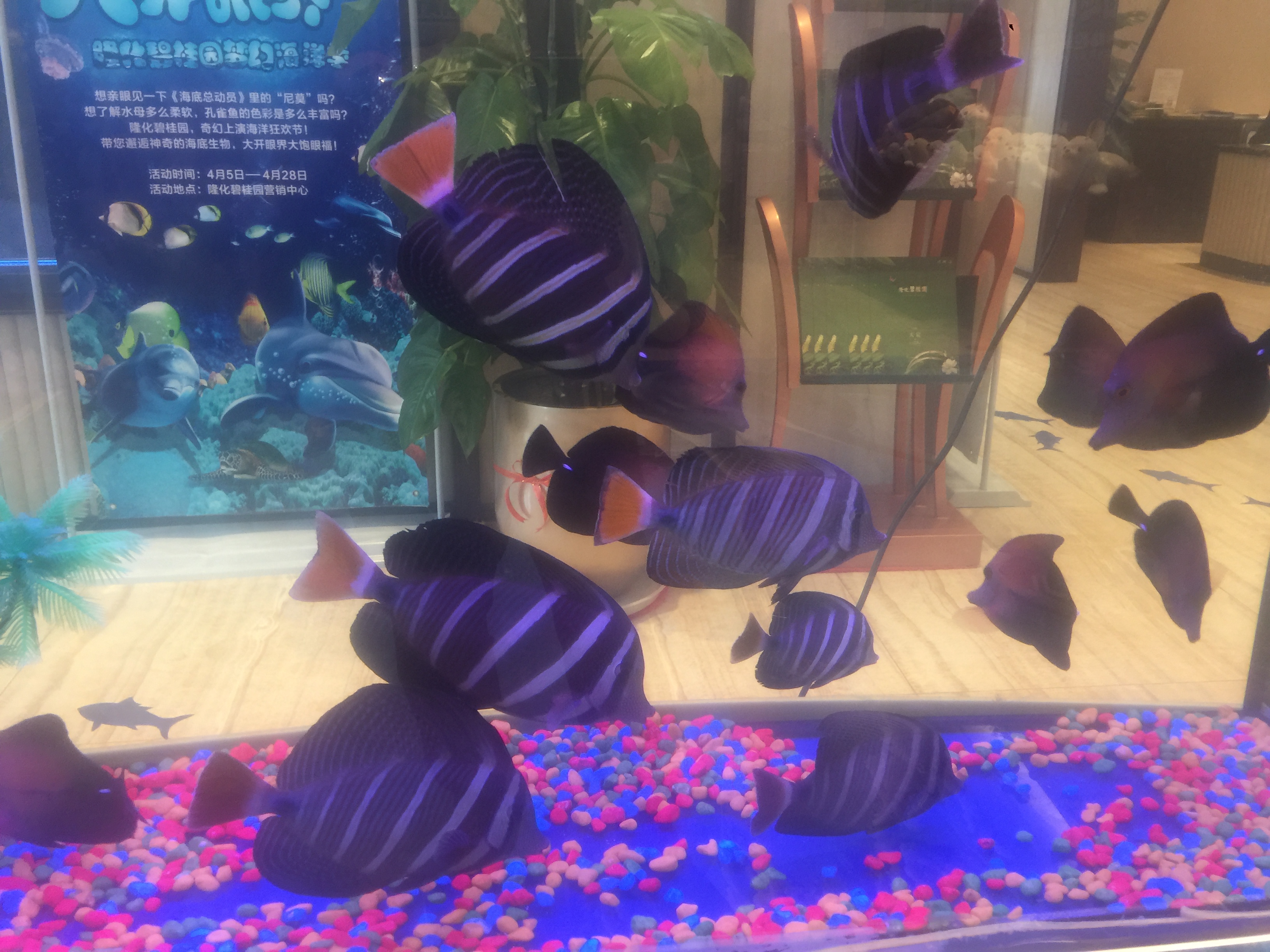 海洋展 海洋生物展 海底世界展 鲨鱼水母展