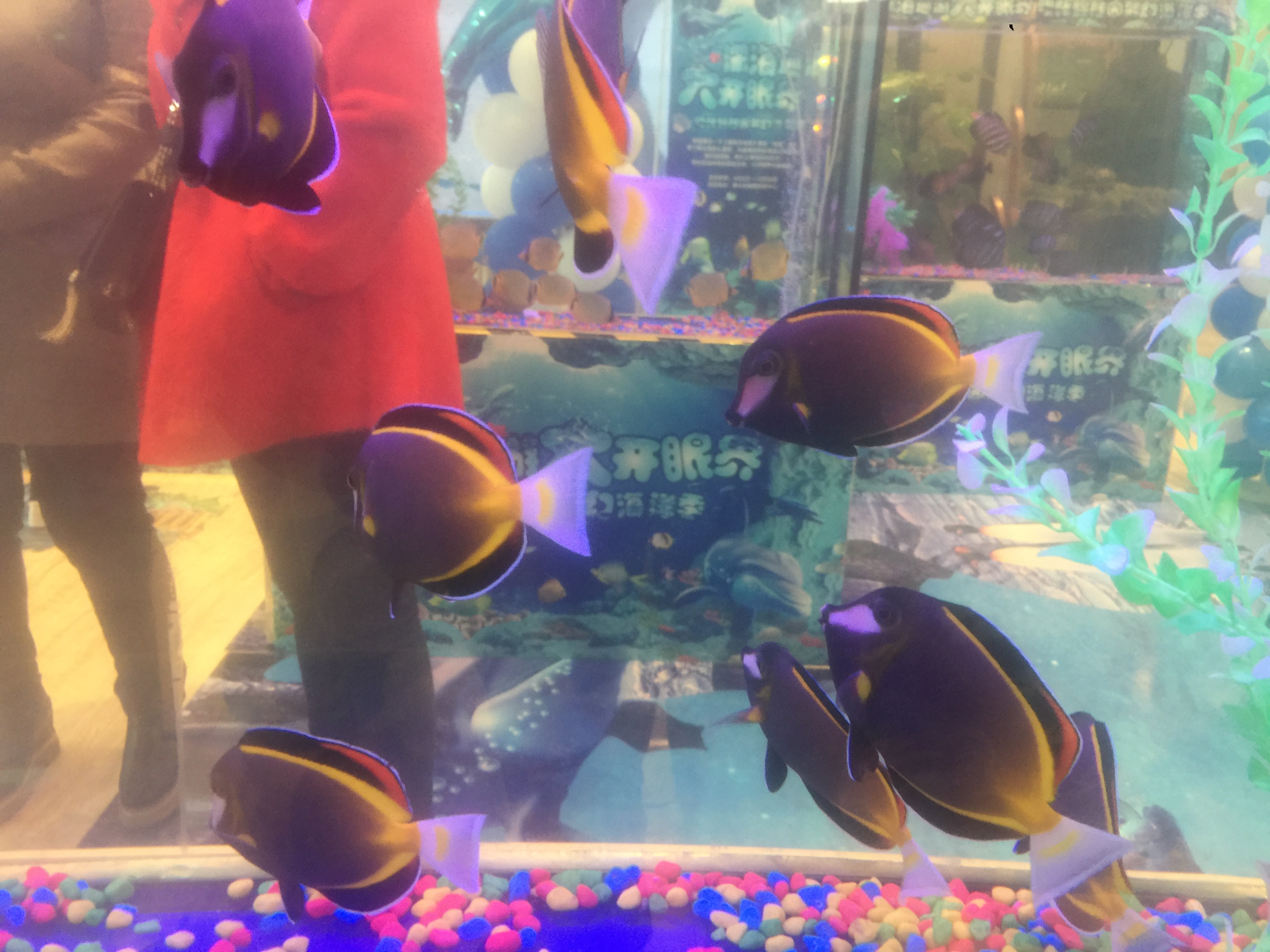 海洋展 海洋生物展 海底世界展 鲨鱼水母展