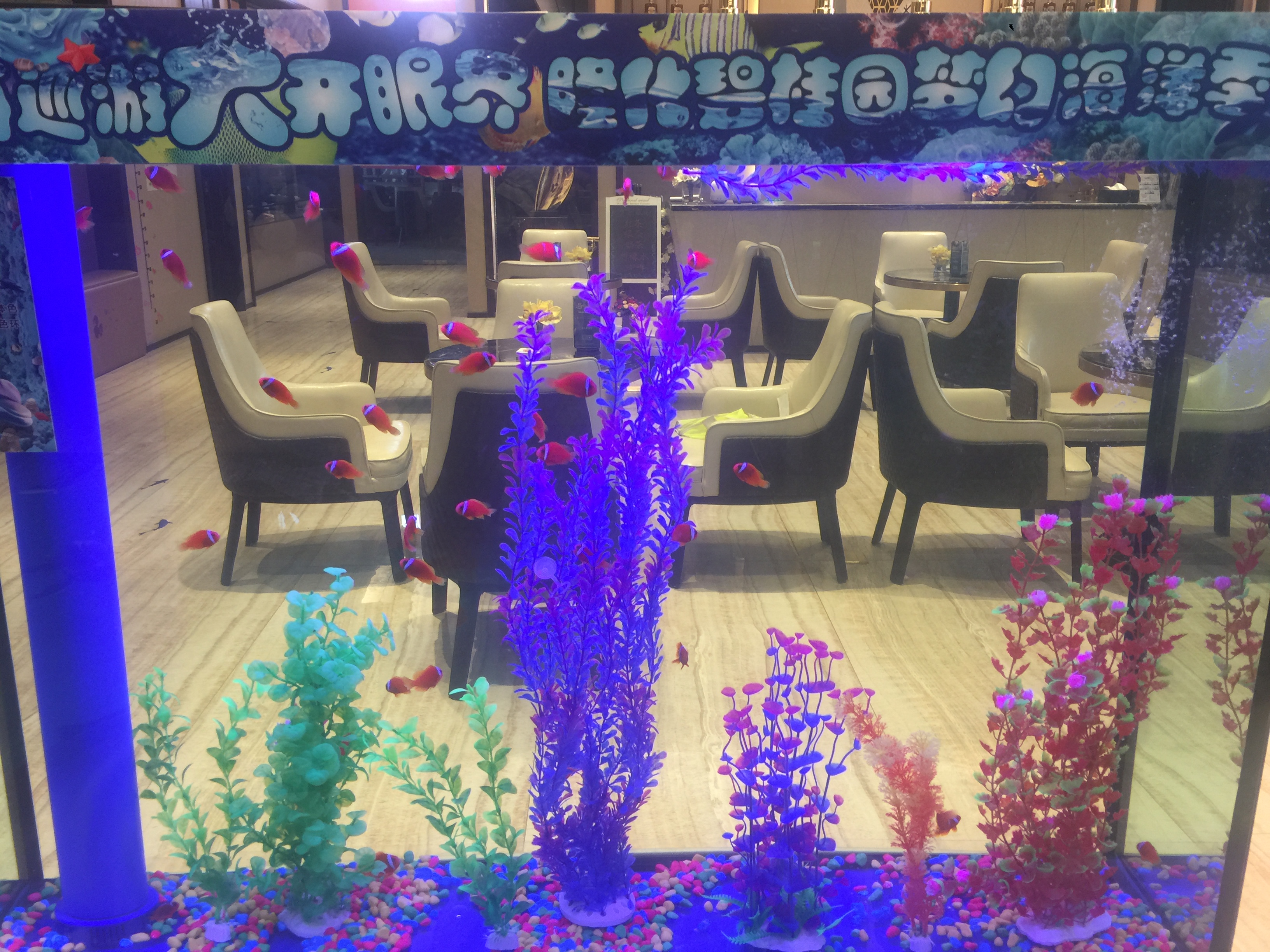 海洋展 海洋生物展 海底世界展 鲨鱼水母展