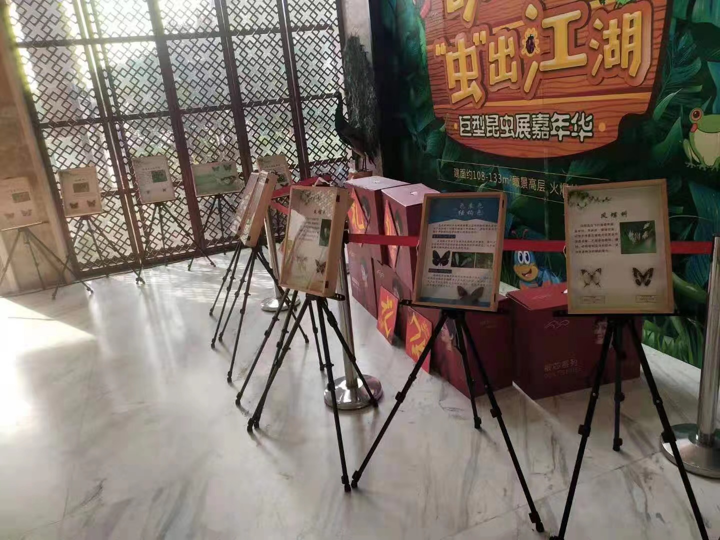 蝴蝶标本展