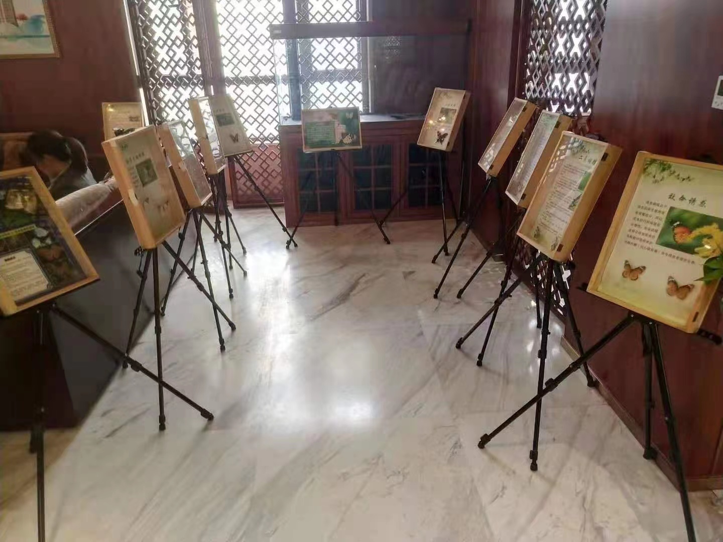蝴蝶标本展