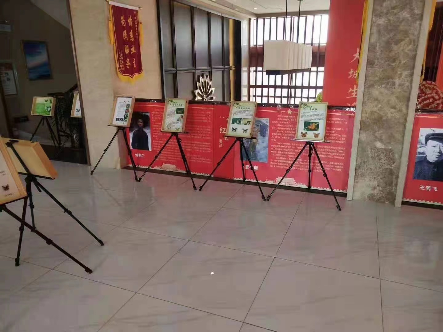 蝴蝶标本展