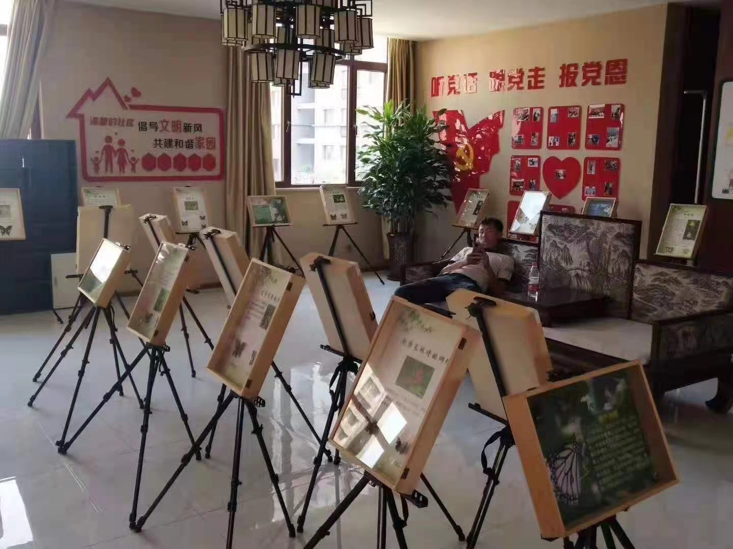 蝴蝶标本展