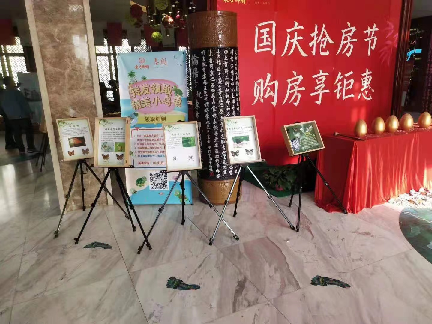 蝴蝶标本展