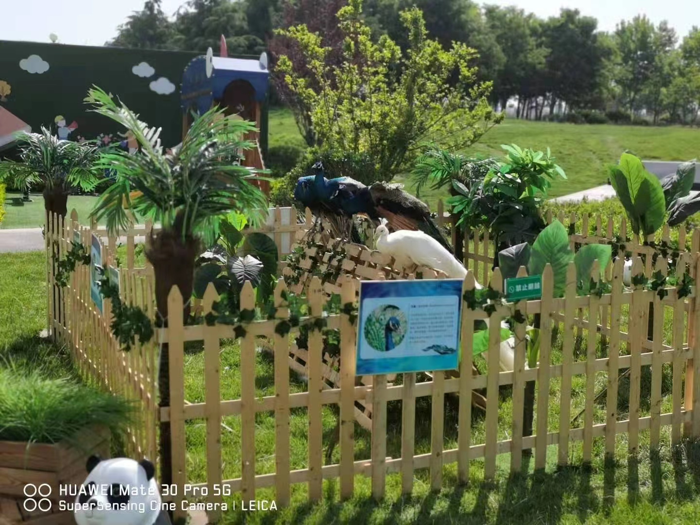 百鸟展 百鸟朝凤展 孔雀展 鸟展 鹦鹉展